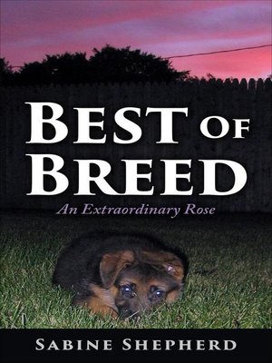 cover image of Best of Breed an Extraordinary Rose